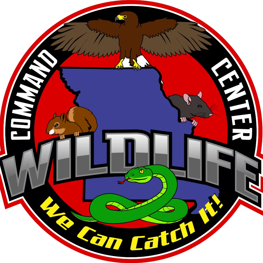 Wildlife Command Center - YouTube