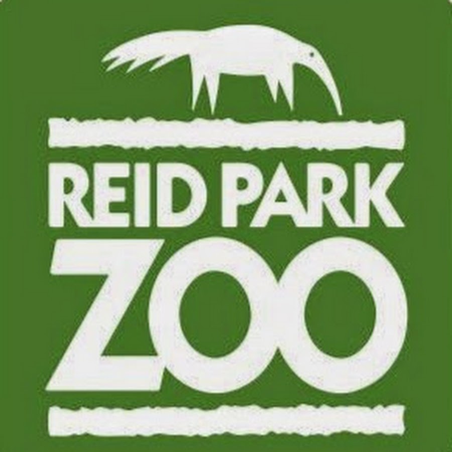 Reid Park Zoo YouTube