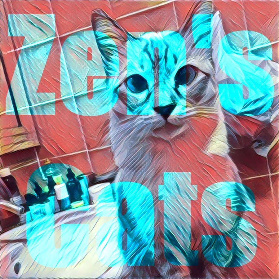 Zen's Cats YouTube