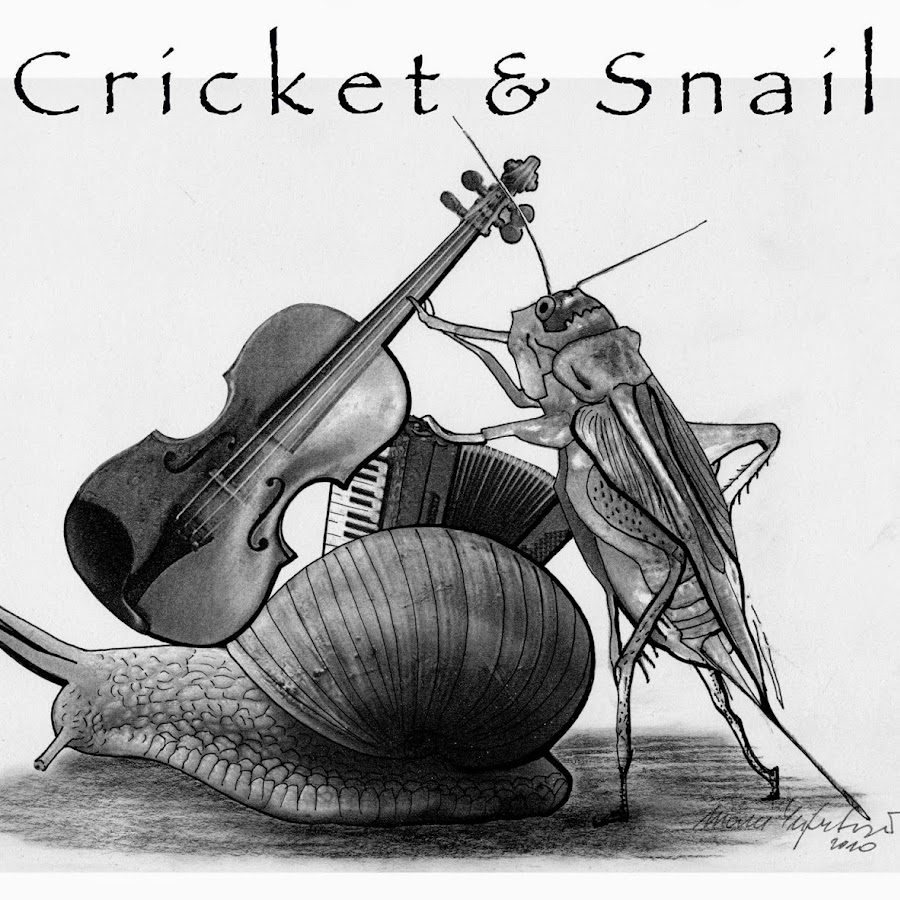 Cricket and Snail YouTube
