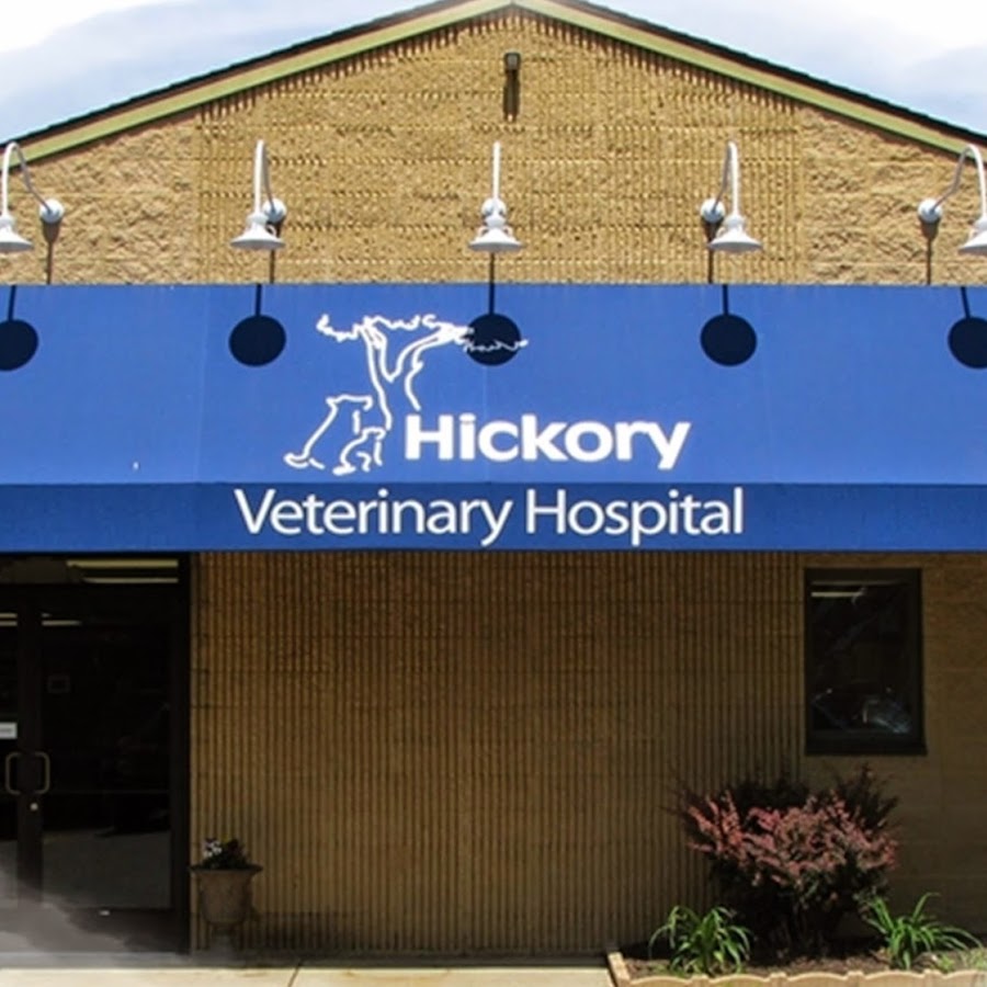 Hickory Veterinary Hospital YouTube