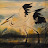 The Fighting Stork avatar
