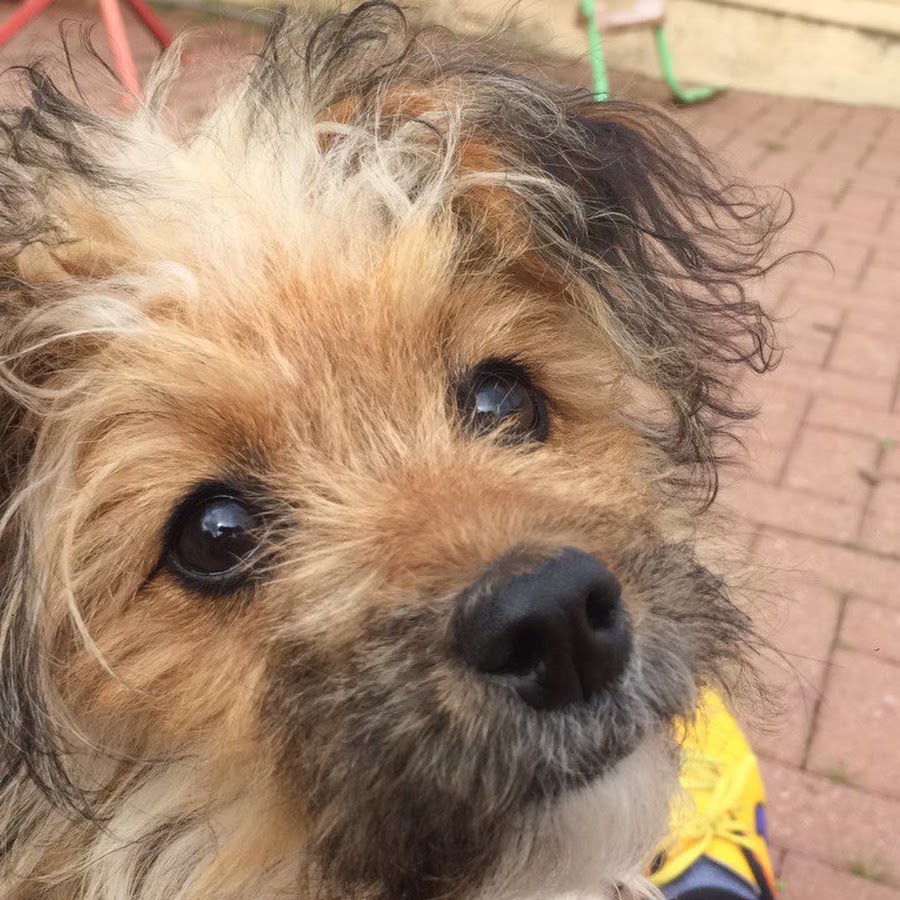 Aaron Games - YouTube