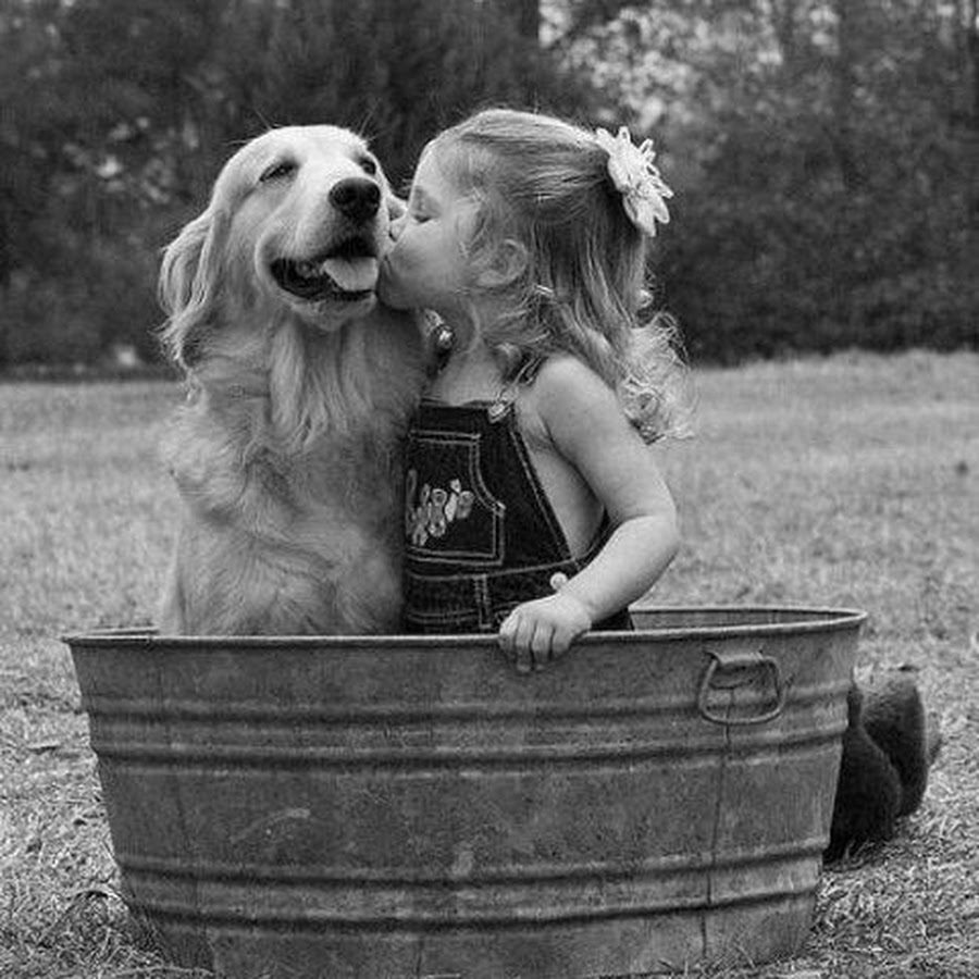 На шинке девочки