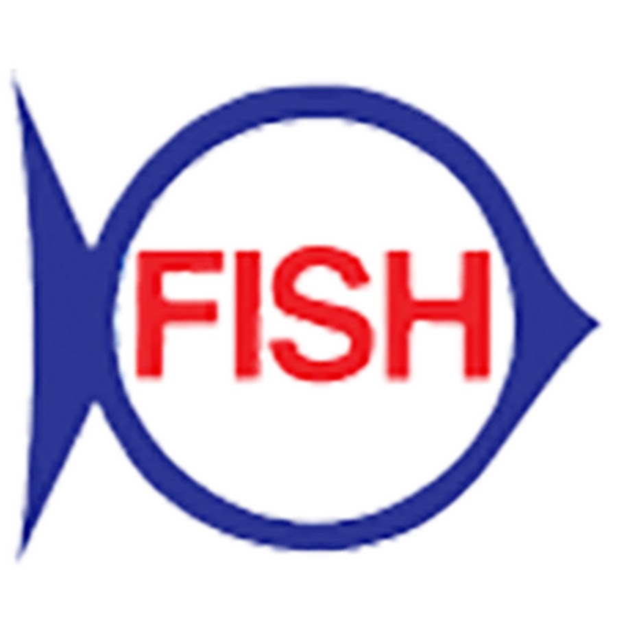 Euclid Fish Company YouTube