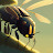 Firefly avatar