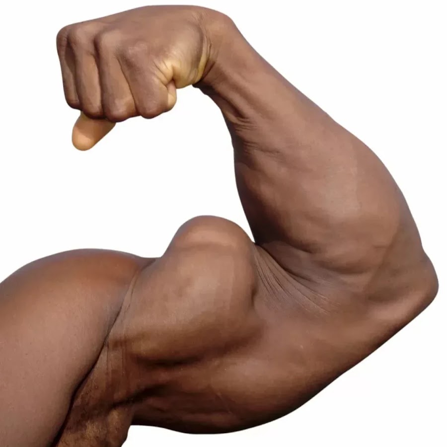 бицепс. накаченные руки. рука качка. рука качка. рука качка.