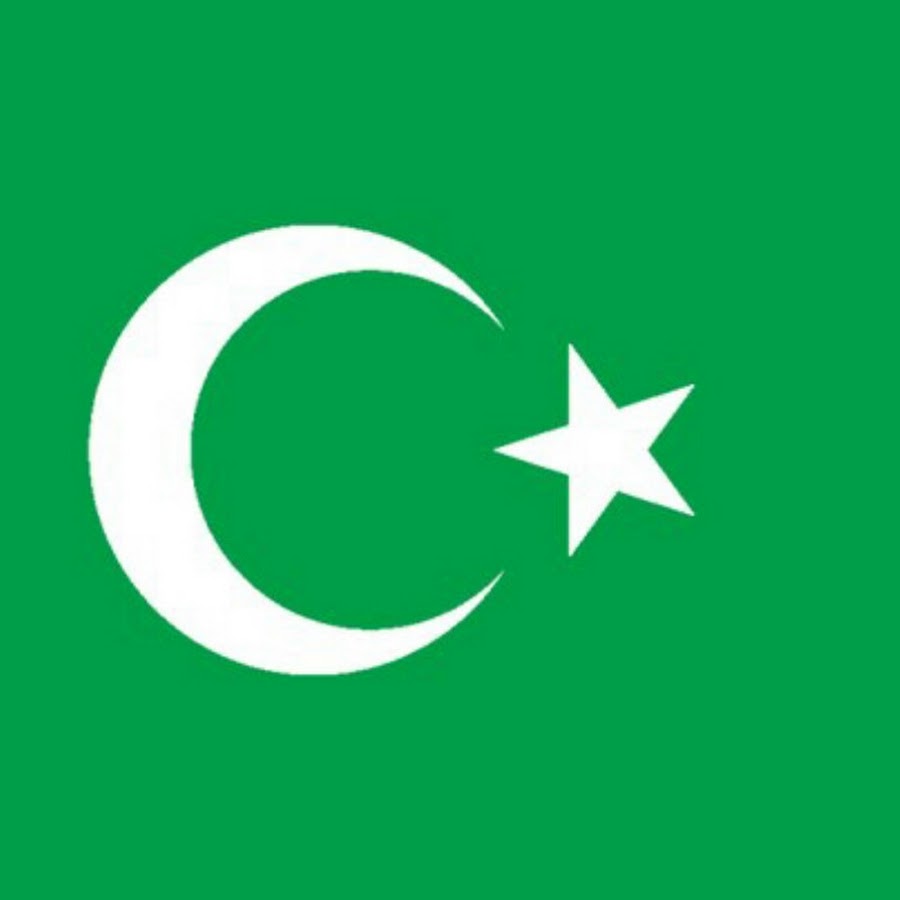 Зеленый флаг с луной. Флаги с полумесяцем. Флаг с полумесяцем и звездой. Флан с звездой в полумесяце. Зелёный флаг с полумесяцем.