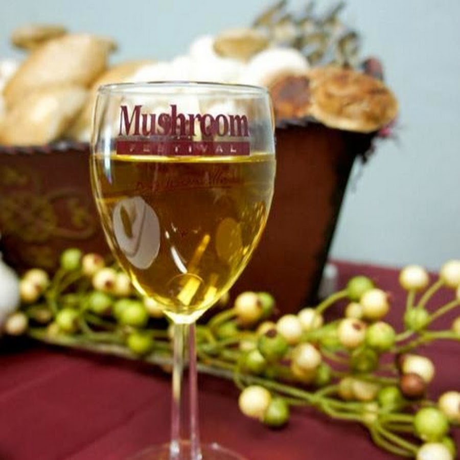 Texas Mushroom Festival YouTube