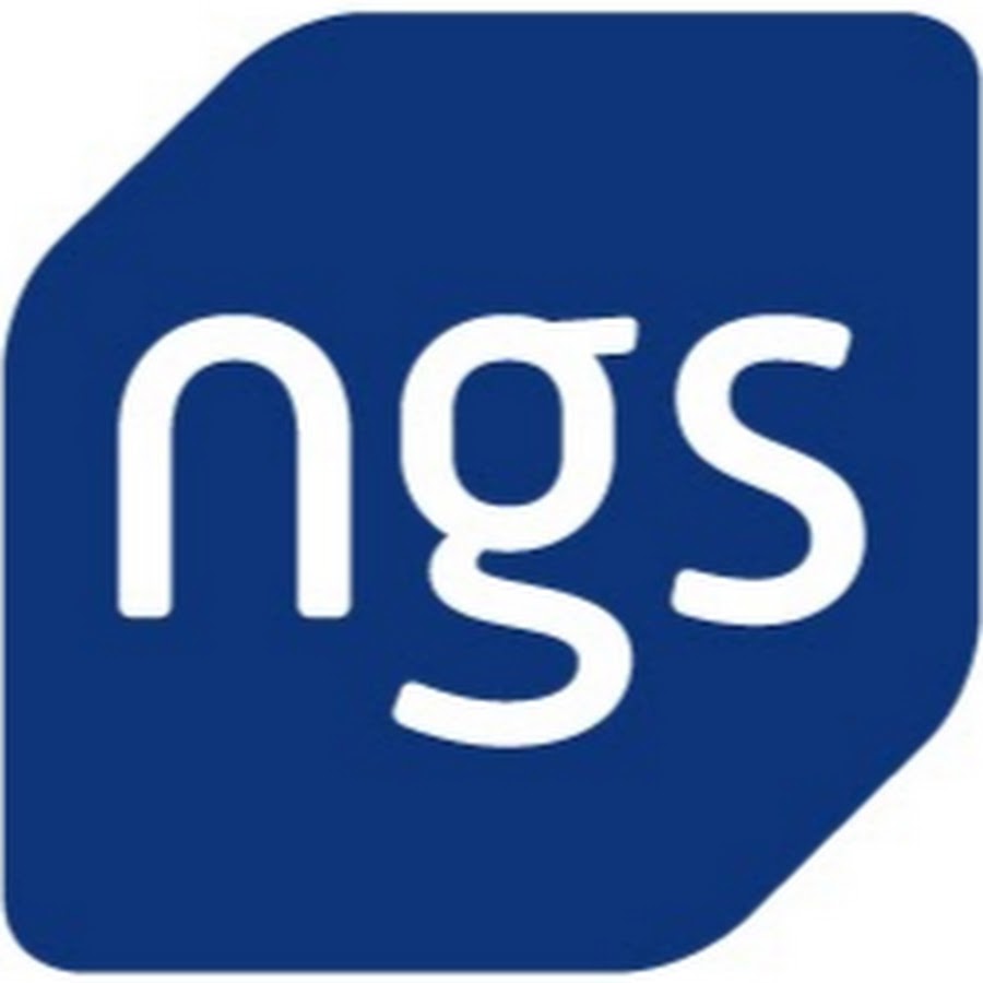 Ngs. NGS логотип. НГС групп. New Generation School NGS логотип.