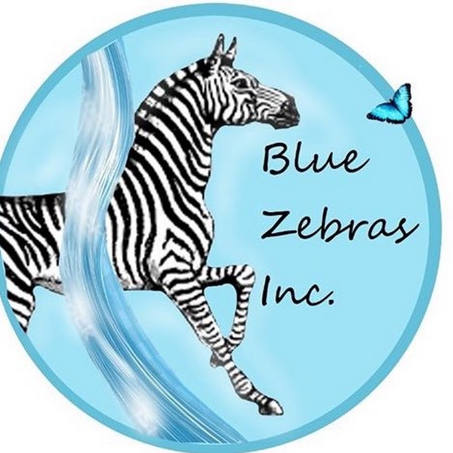 Blue Zebras Inc. YouTube