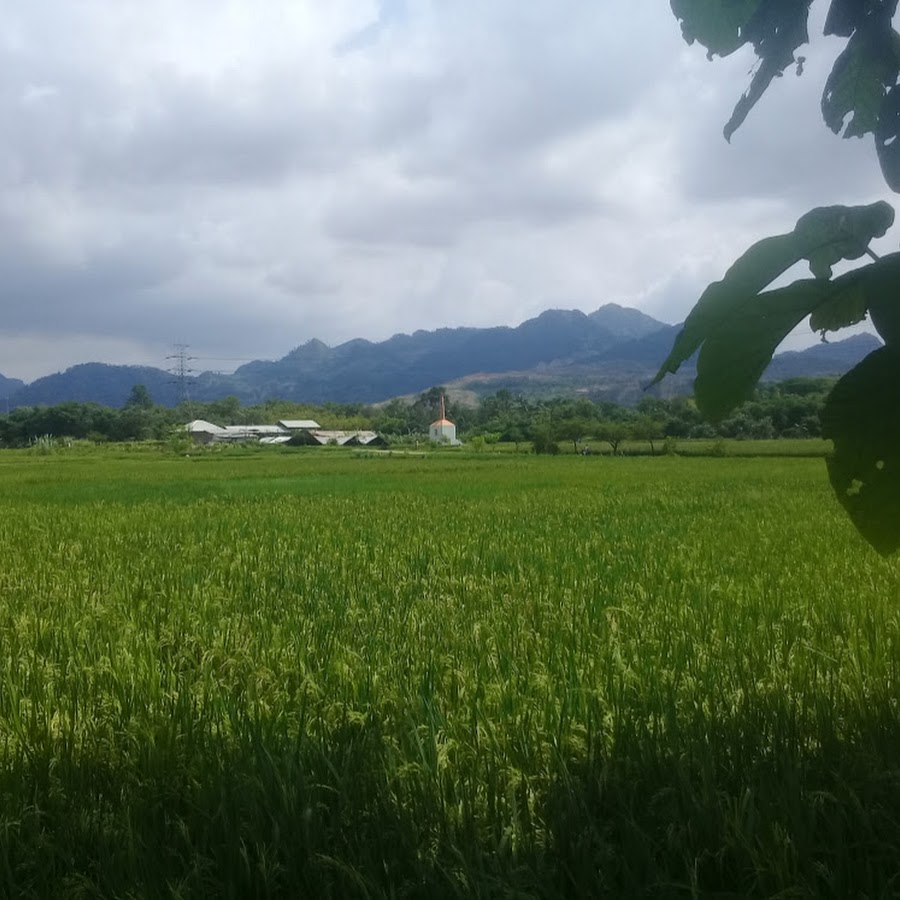 AK Channel 26 - YouTube