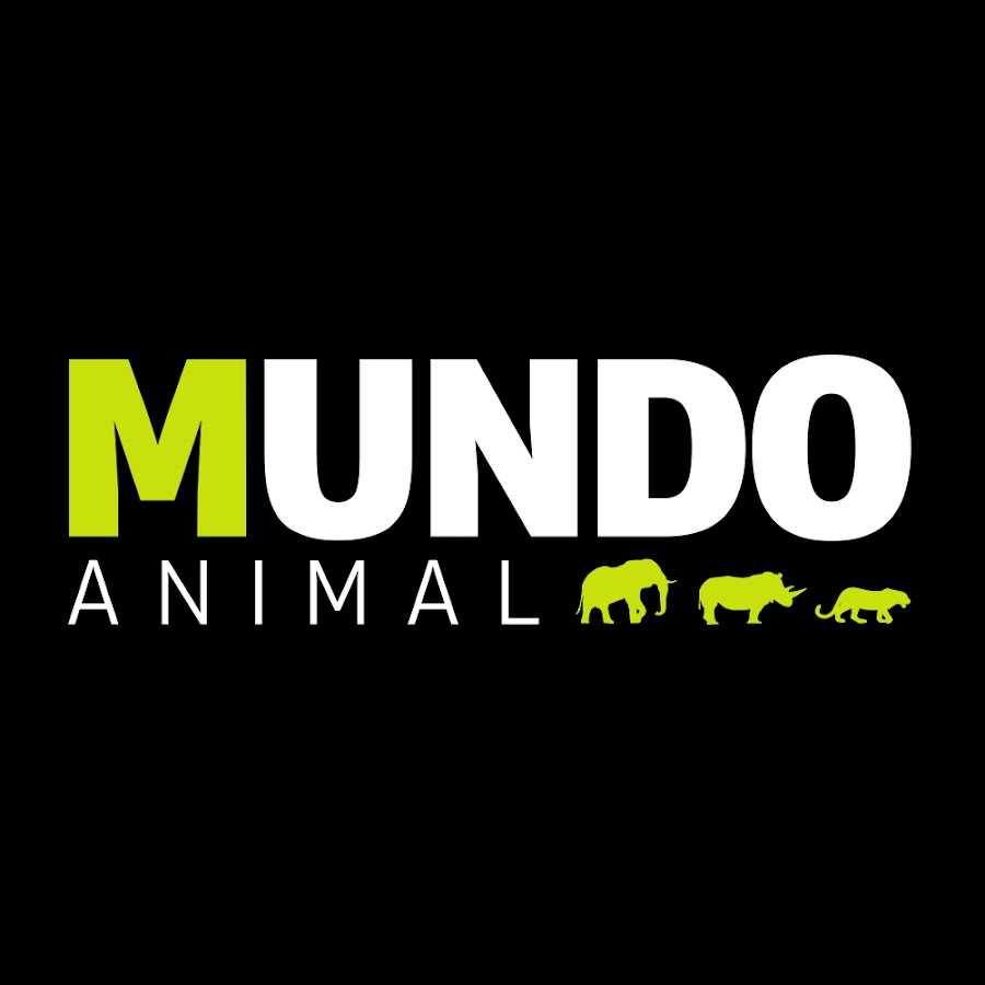 Mundo Animal - YouTube