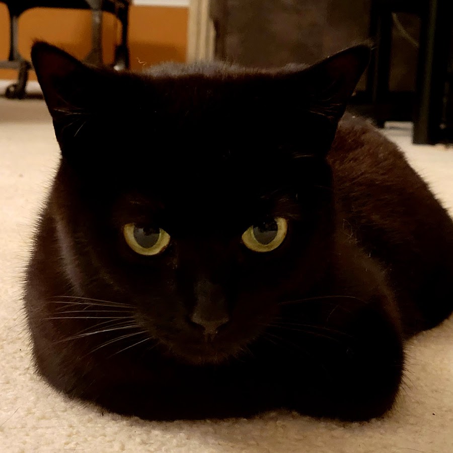 GioGio Games - YouTube