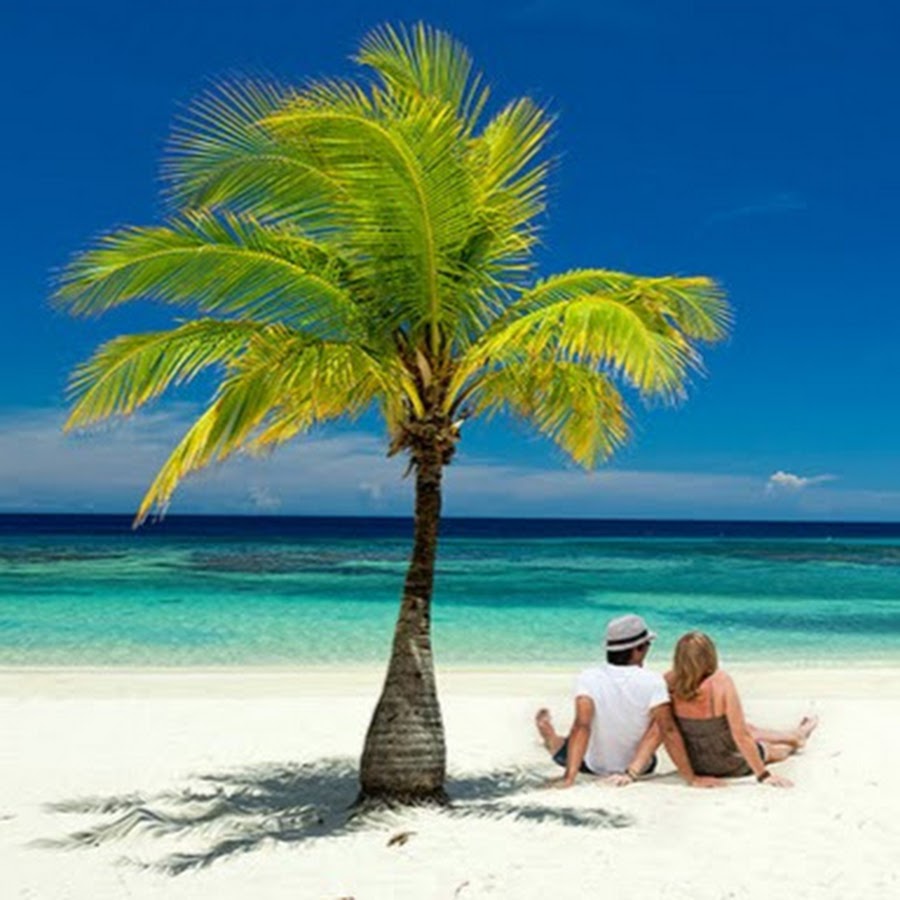 Top Of The Line YouTube