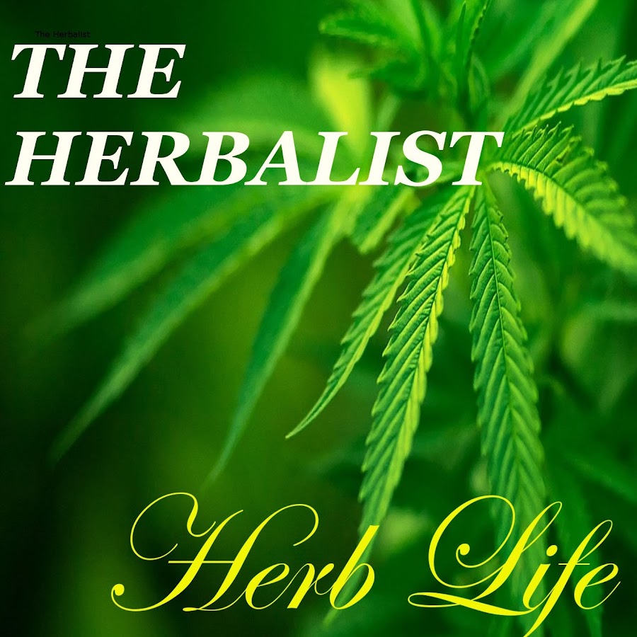 HerbalistMusic420 - YouTube