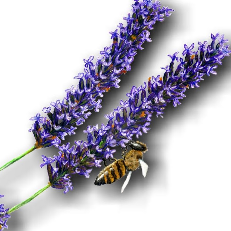 Mika Garten - YouTube