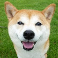 チャンネル好奇心もりもり