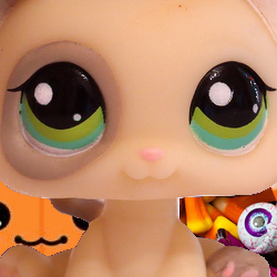 PetshopKagayaita - YouTube