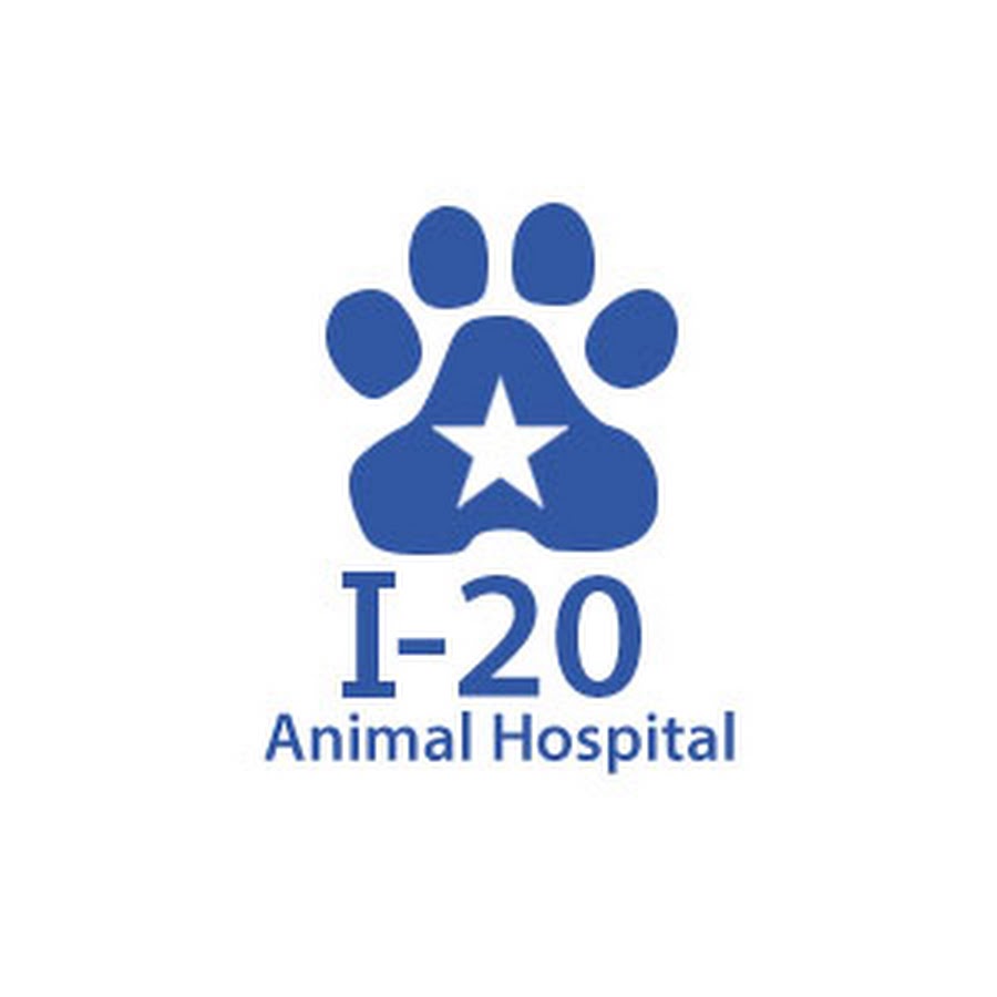 I 20 Animal Hospital YouTube