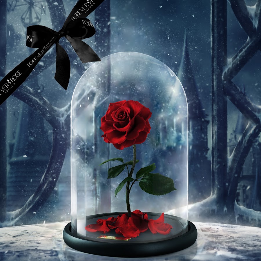 Forever Rose London YouTube