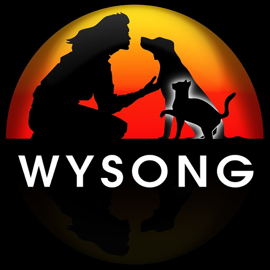 wysong.net Logo
