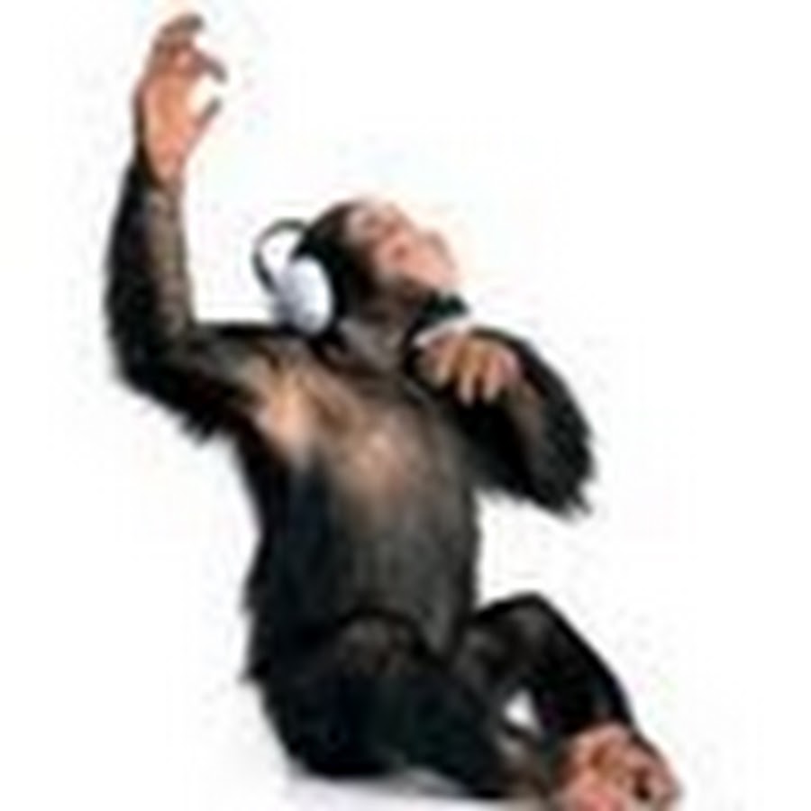 обезьяна с наушниками и плеером. мем обезьяна слушает музыку. обезьяна sony. обезьяна с наушниками мем. обезьяна в наушниках мем.