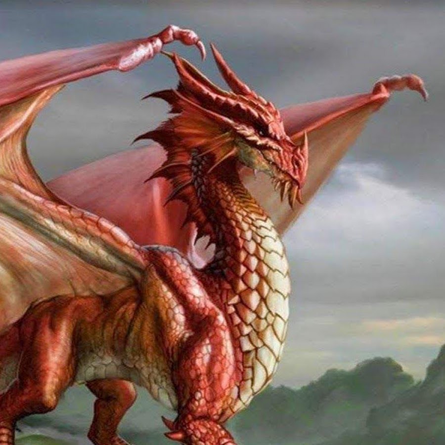 Leo Dragon - YouTube