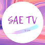 SAE TV 새 티비