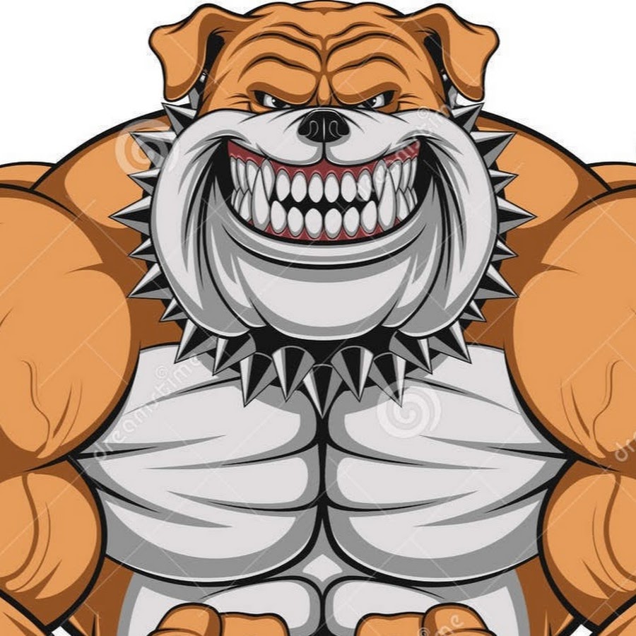 Хомяк качок картинки