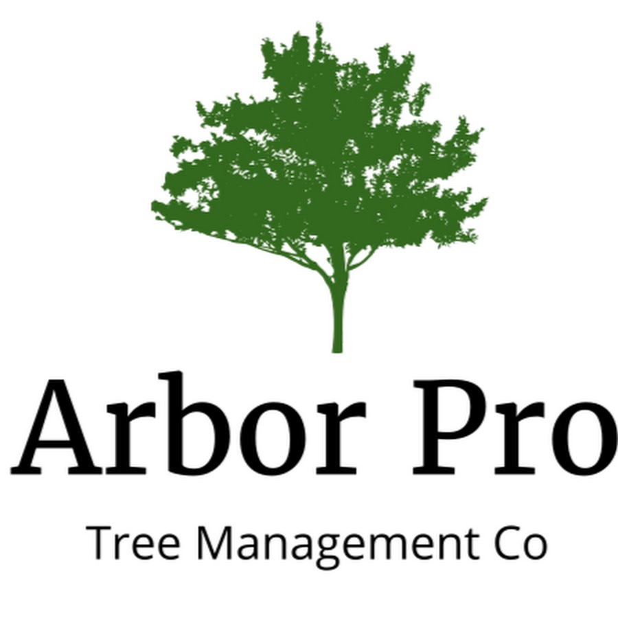 Arbor Pro Tree Management Co. LLC YouTube
