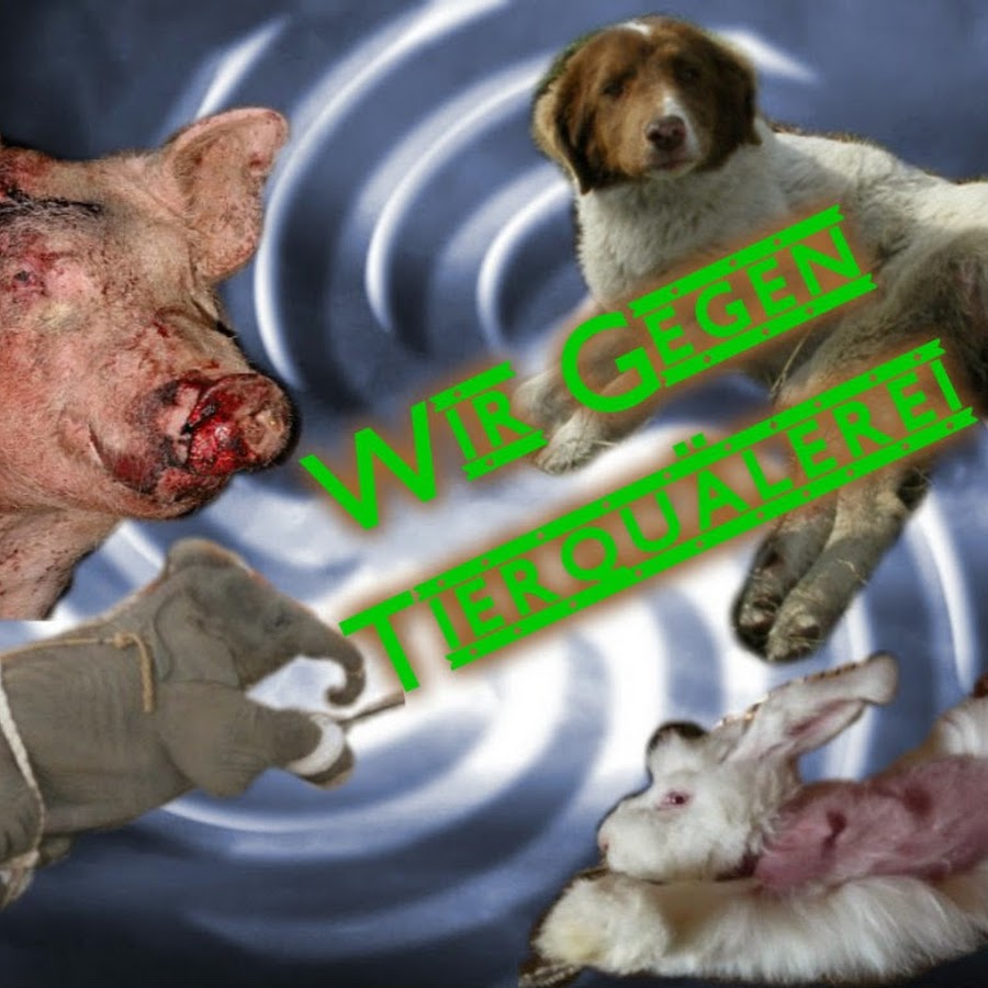 Wir Gegen Tierquälerei YouTube
