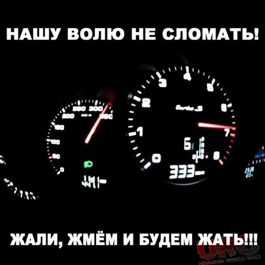 нас не сломить прикол. нашу волю не сломать жали жмем и будем жать. сломленная воля дуткий кадр. меня не сломить цитаты. а ты попробуй выжать сотку.
