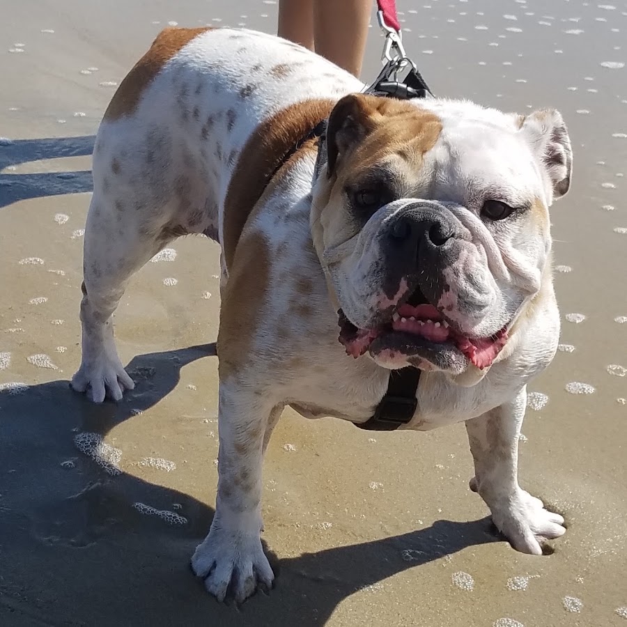 Nicole Simon - YouTube