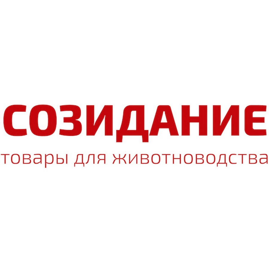 Созидание логотип благотворительного фонда. Фонд созидание животные. Созидание значение. Абв созидание. Благотворительный фонд соз дание.