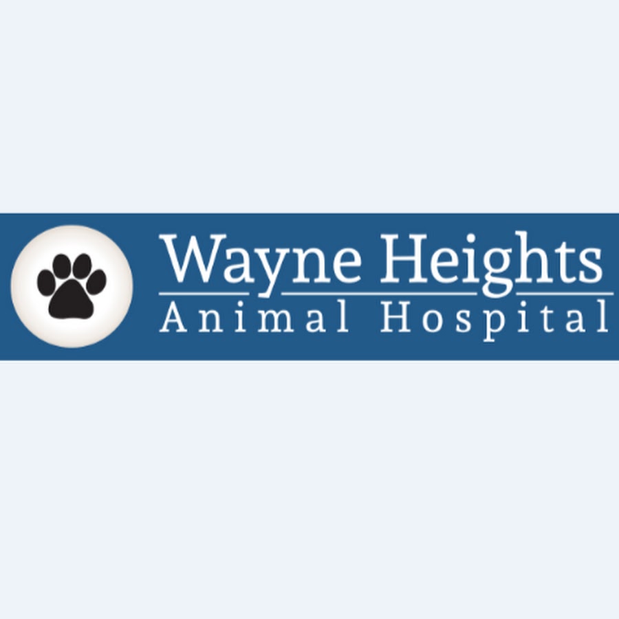 Wayne Heights Animal Hospital YouTube