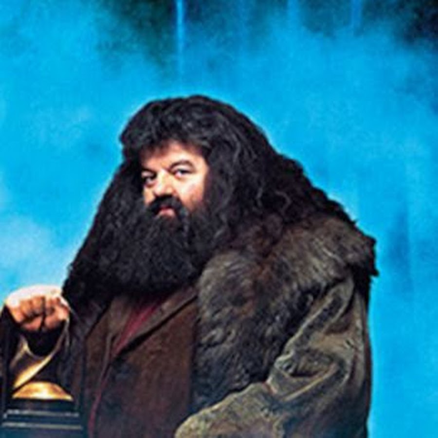 молодой хагрид тайная комната. рубеус хагрид актер. хагрид полувеликан. гарри поттер и орден феникса хагрид. хагрид и шляпа.