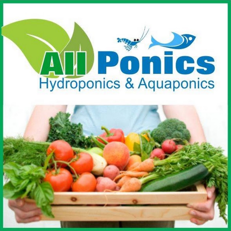 All Ponics - Youtube