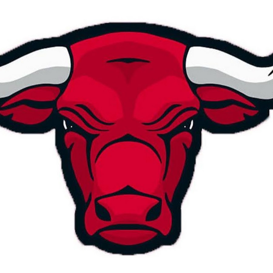 Морда быка. Чикаго Буллз лого. Герб Чикаго Буллз. Chicago bulls бык. Chicago bulls вектор
