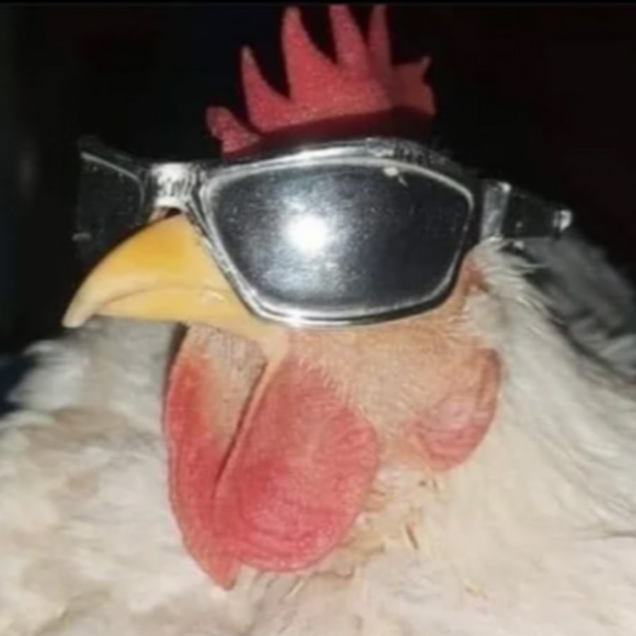 Fat 