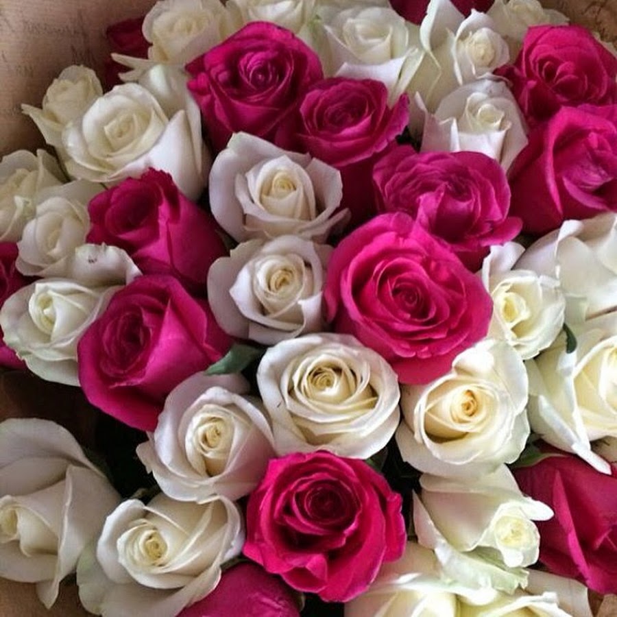 букет "осенние хризантемы". цветы букеты 90. букет тюльпанов на улице. клумбы петрозаводска. цветы птз.