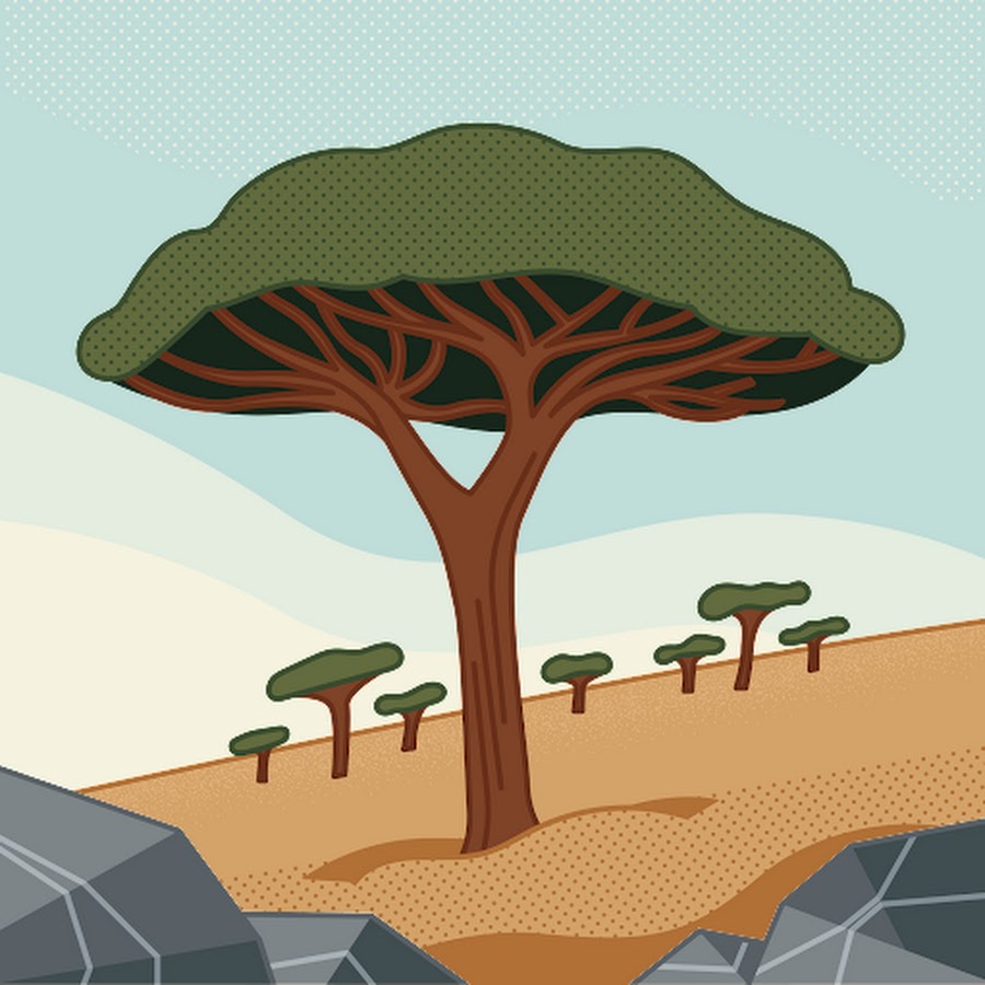 лучший хирург маммолог