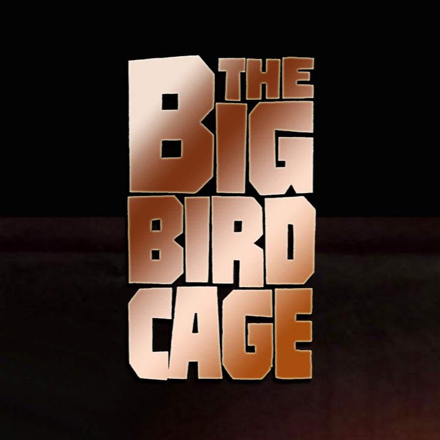THE BIG BIRD CAGE YouTube