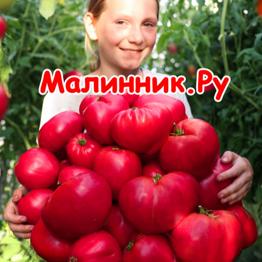 Агрофирма Виктория Интернет Магазин