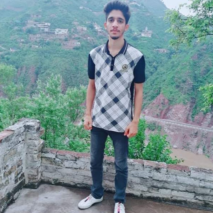 Raja ali riaz thesis 05 image