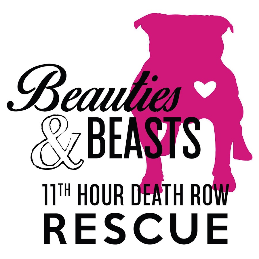 Beauties and Beasts - YouTube
