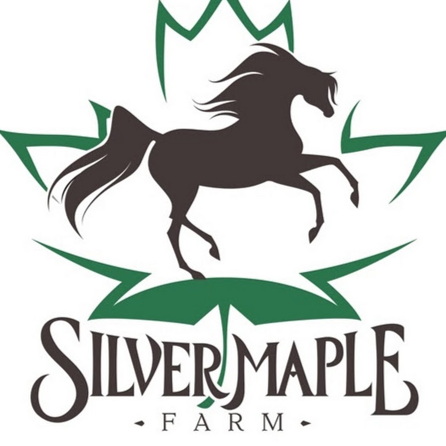 Silver Maple Farms YouTube