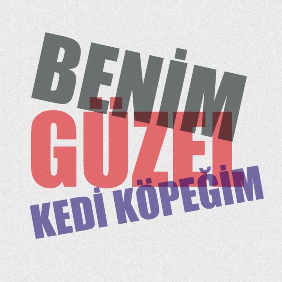 Benim Güzel Kedi Köpeğim YouTube