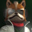 FOXDIE avatar