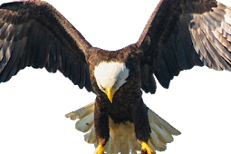 Eagle View B&B, British Columbia, Canada